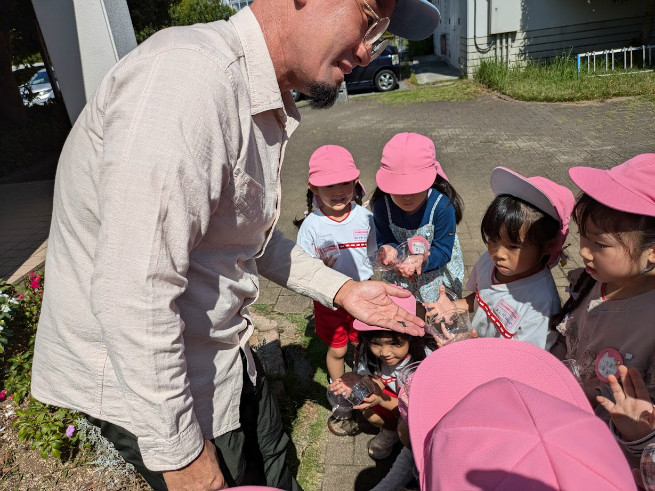 何かの幼虫発見、さわると気持ちいいね