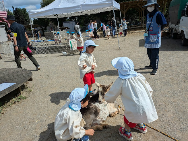 ヤギはパンより草が好きかな？