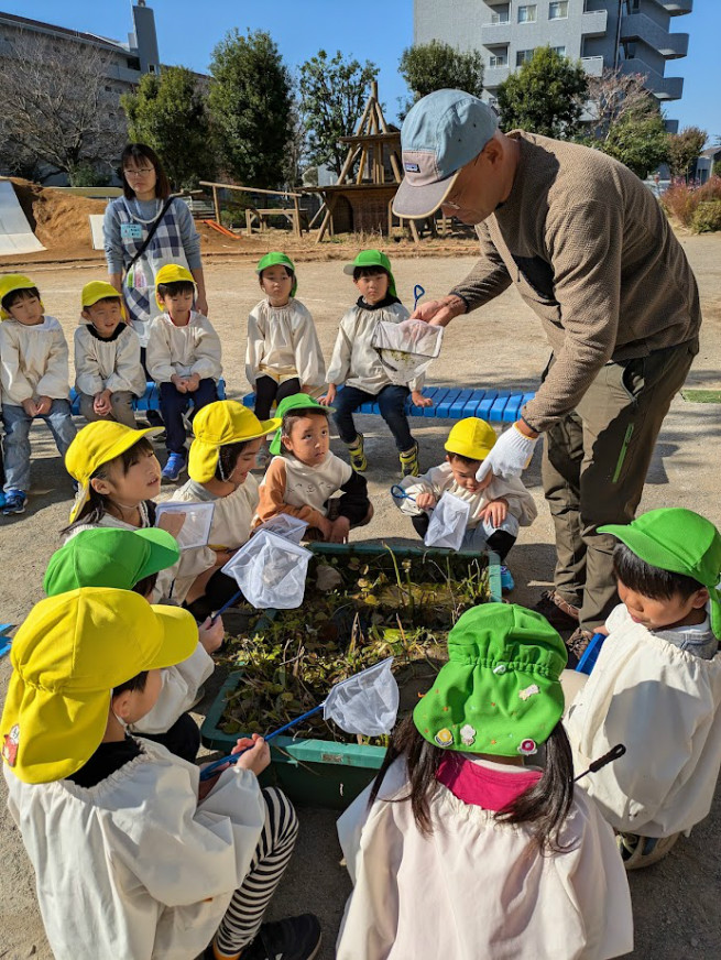 網で生き物がいるかすくって調べます